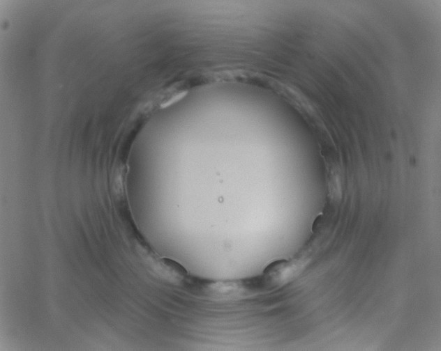 X0000061750477200512231530