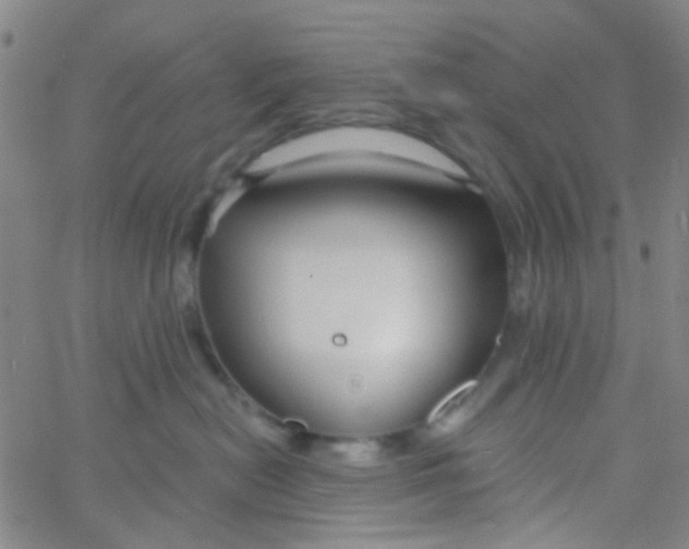 X0000061750478200512231530