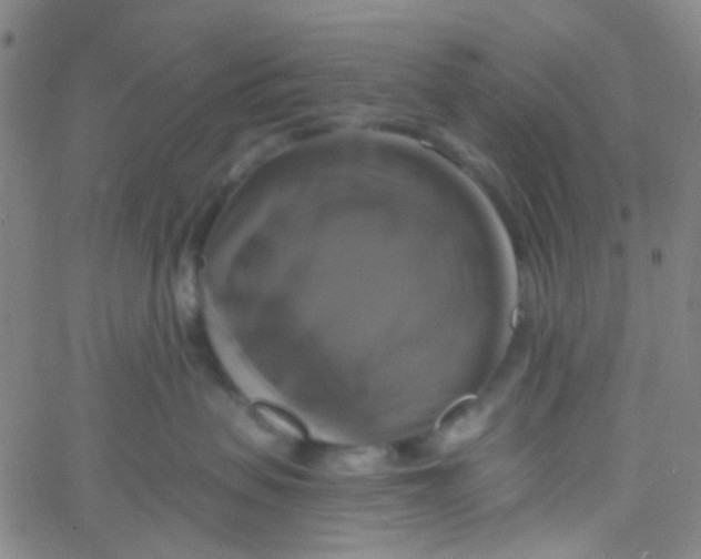 X0000061750479200512231530