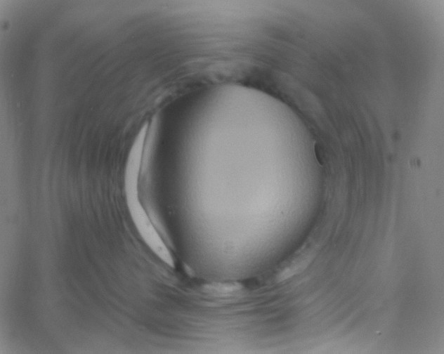 X0000061750480200512231530