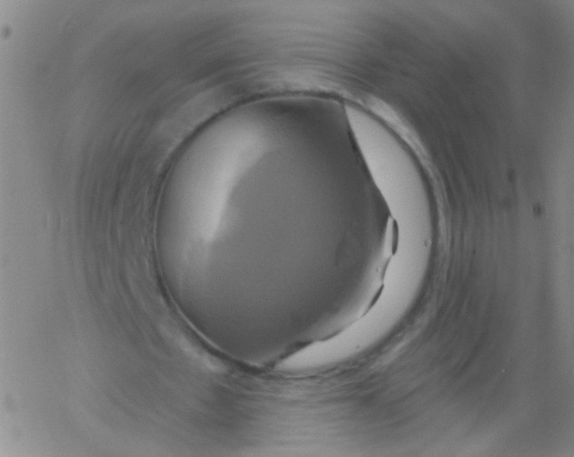 X0000061750481200512231529