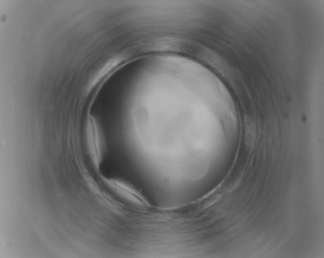 X0000061750482200512231529