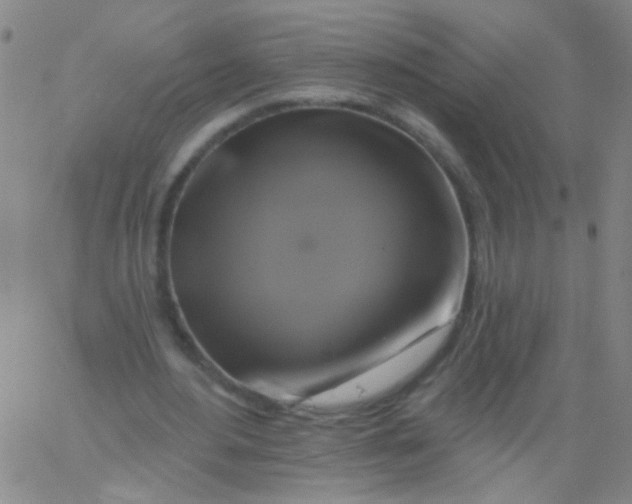 X0000061750484200512231529