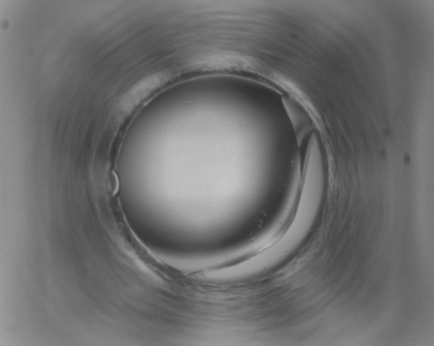 X0000061750485200512231529