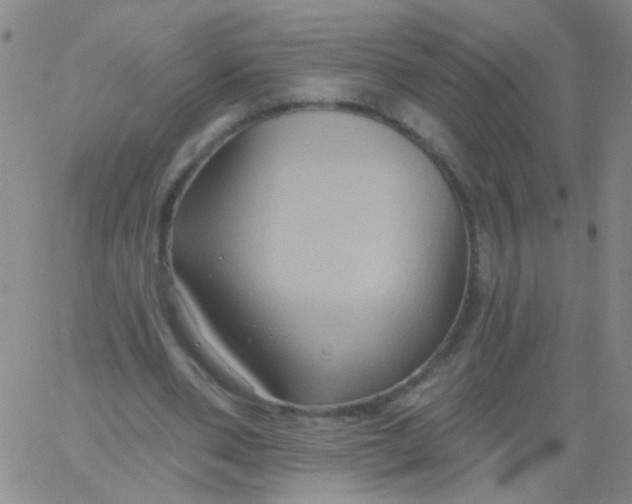 X0000061750486200512231529