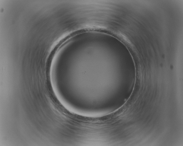 X0000061750488200512231529