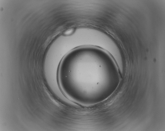 X0000061750489200512231529