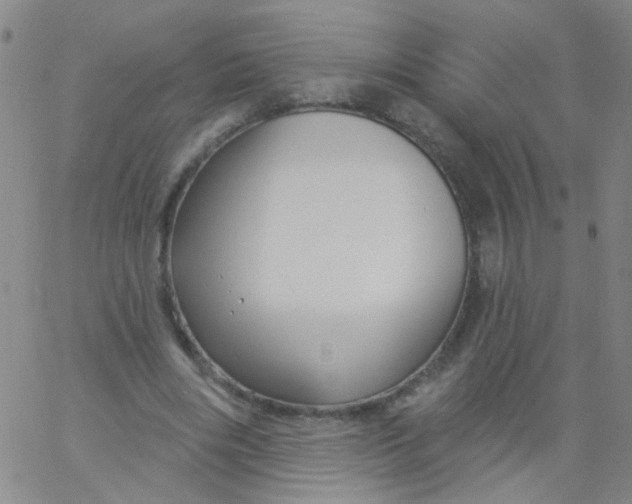 X0000061750490200512231529