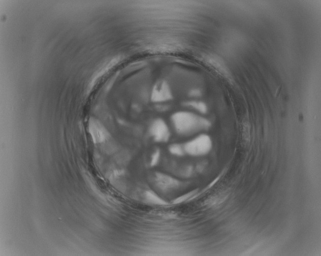 X0000061750491200512231529