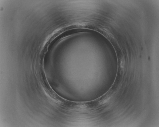 X0000061750492200512231529