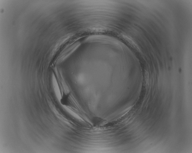 X0000061750494200512231529