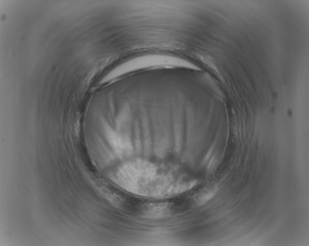 X0000061750495200512231529