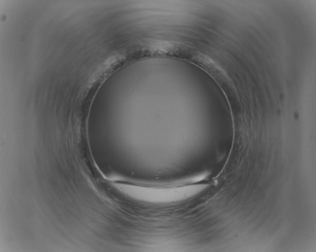 X0000061750496200512231529