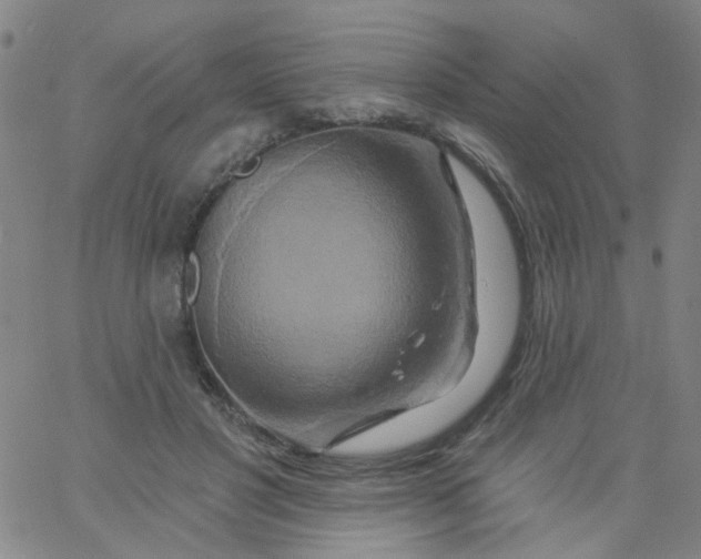 X0000061750501200512231529