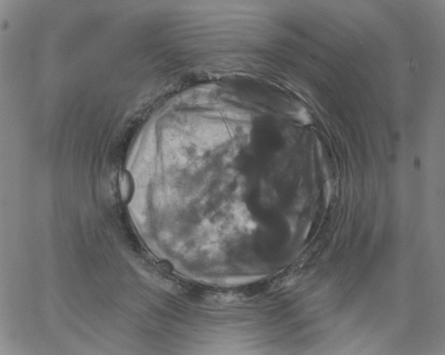 X0000061750503200512231529