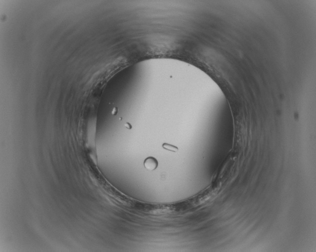 X0000061750505200512231529