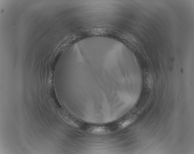 X0000061750507200512231529