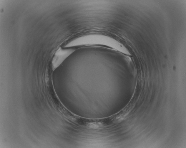 X0000061750508200512231529