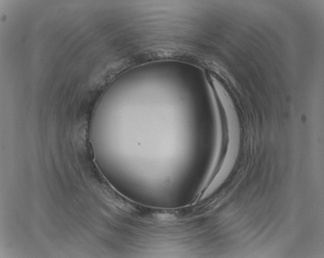 X0000061750509200512231529