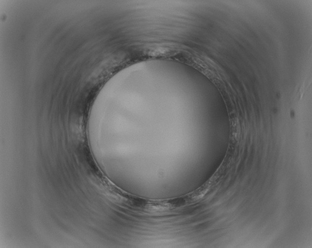 X0000061750510200512231529