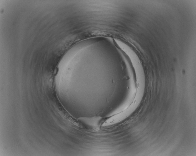 X0000061750513200512231529