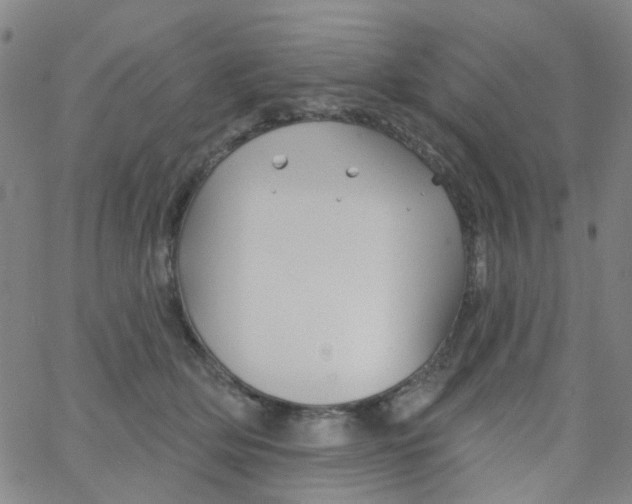 X0000061750514200512231529