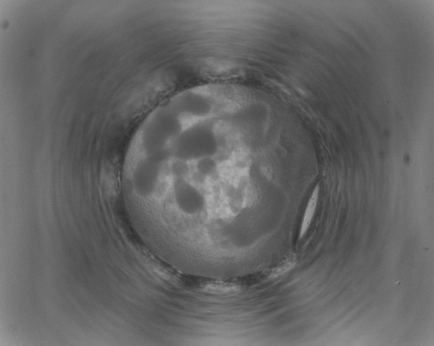 X0000061750515200512231529