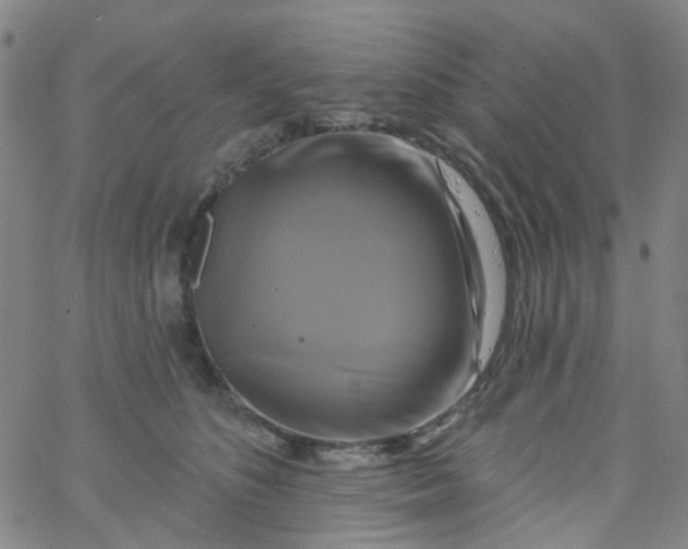 X0000061750516200512231529