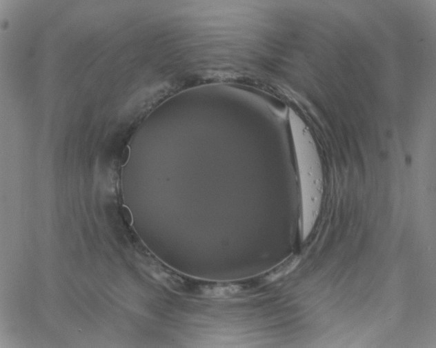 X0000061750517200512231529