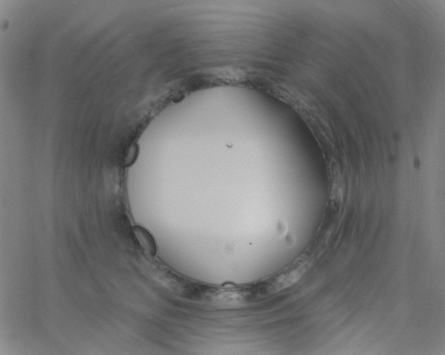 X0000061750518200512231529