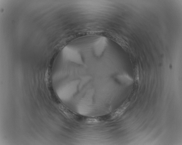 X0000061750519200512231529