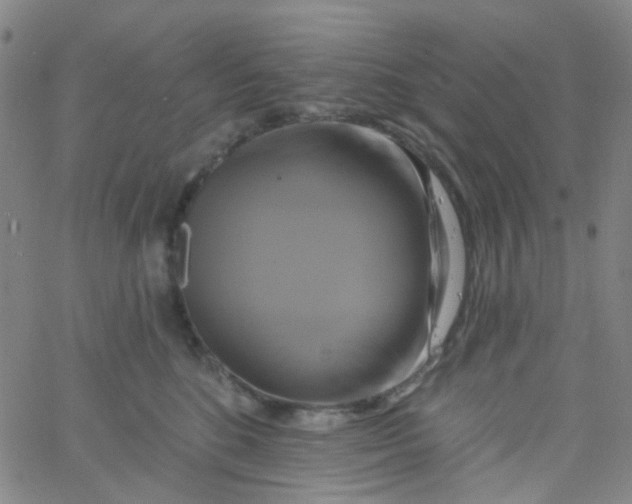 X0000061750520200512231529