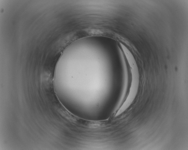 X0000061750521200512231529