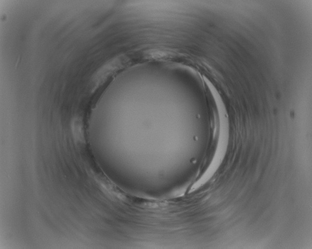 X0000061750524200512231529