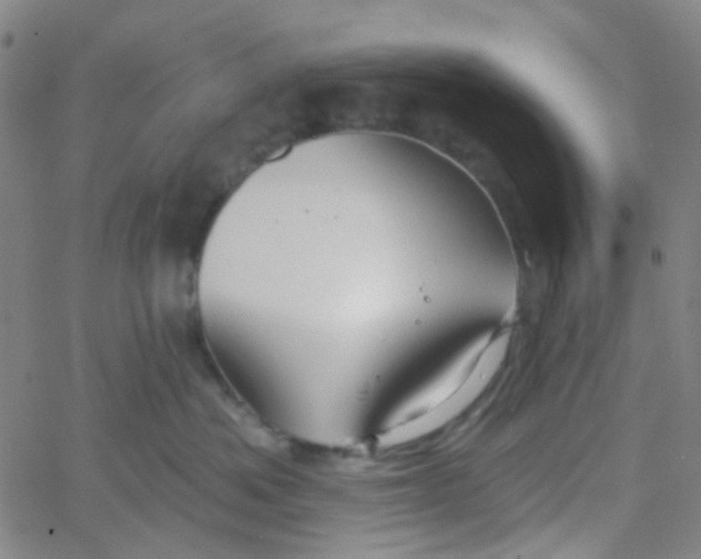 X0000061750525200512231529