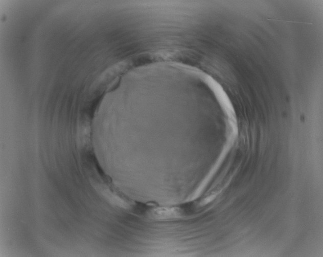 X0000061750526200512231529