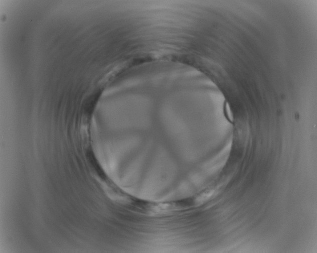 X0000061750527200512231529