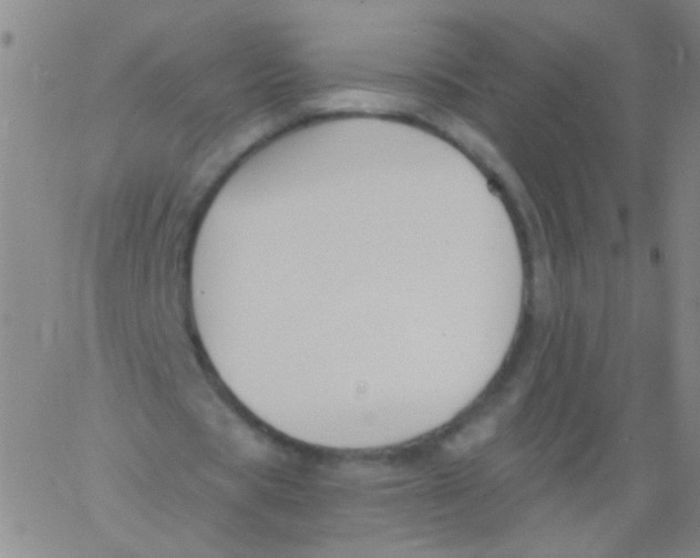 X0000061750529200512231528