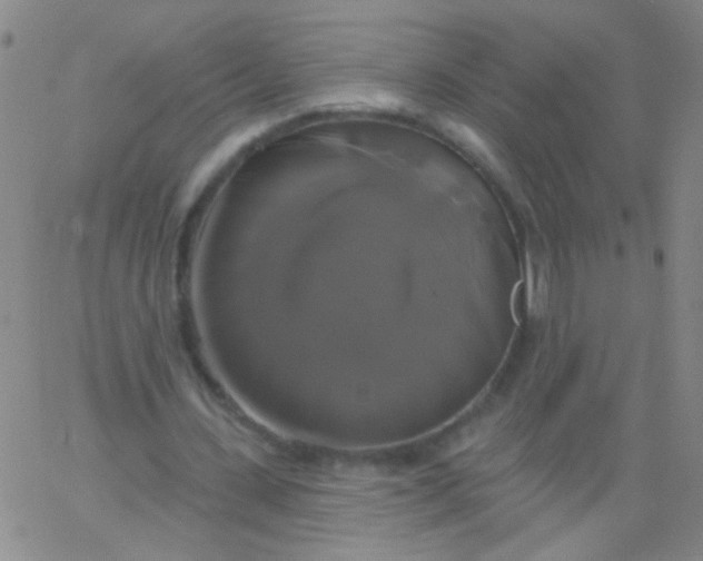 X0000061750531200512231528