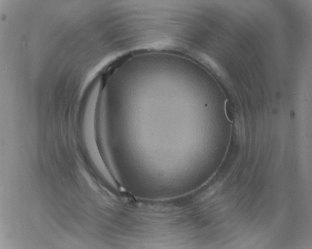 X0000061750532200512231528