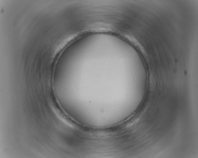 X0000061750533200512231528