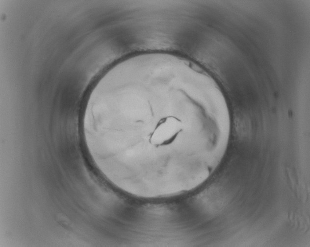 X0000061750534200512231528