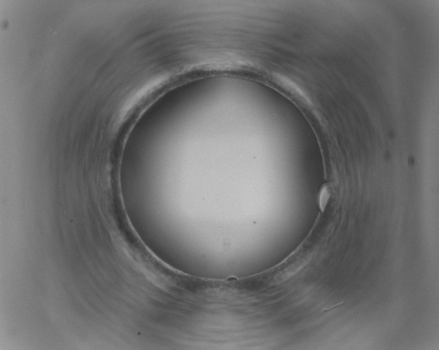 X0000061750535200512231528