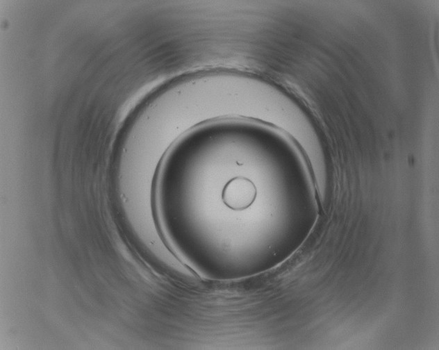 X0000061750536200512231528