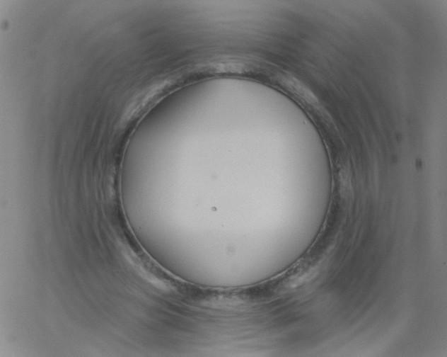 X0000061750537200512231528