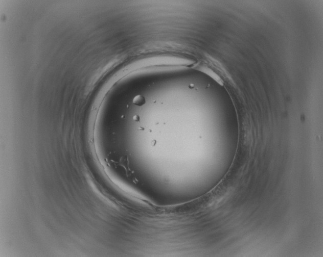 X0000061750538200512231528