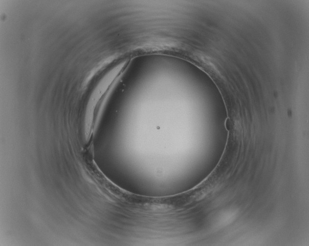 X0000061750539200512231528