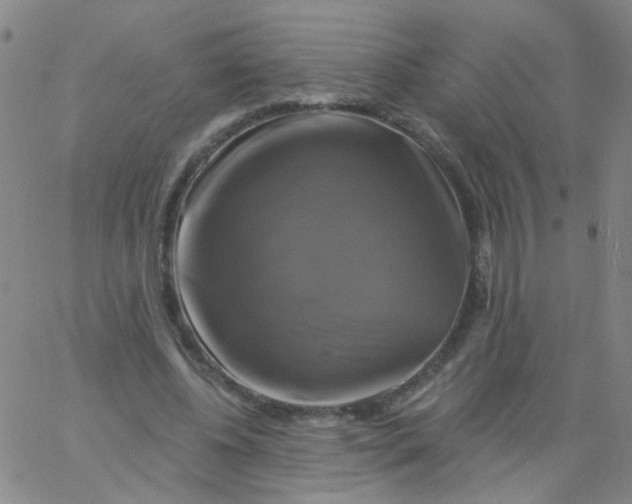 X0000061750540200512231528