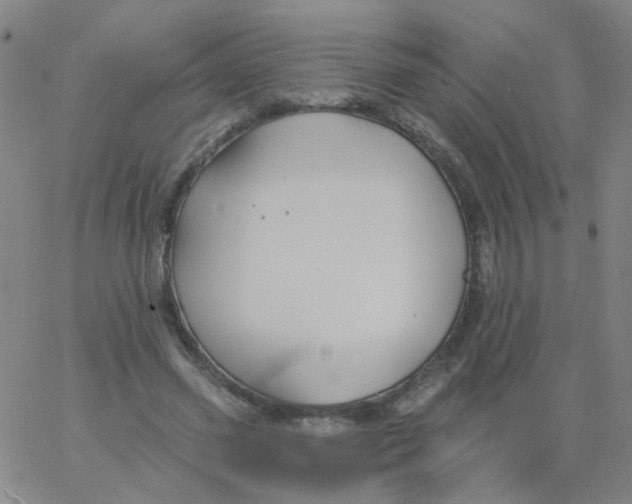 X0000061750541200512231528