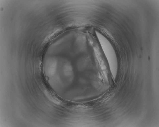 X0000061750542200512231528